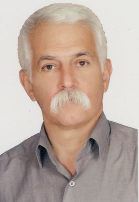 Seyed Nasir Heydari