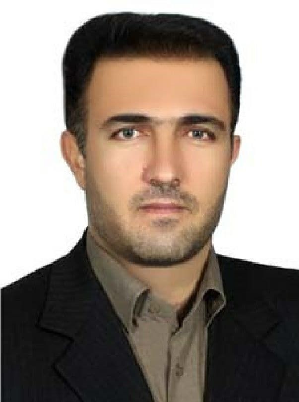 Hassan Safikhani