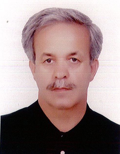 محمدجواد سیفی