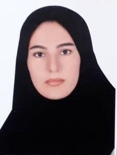 روژین حیدری